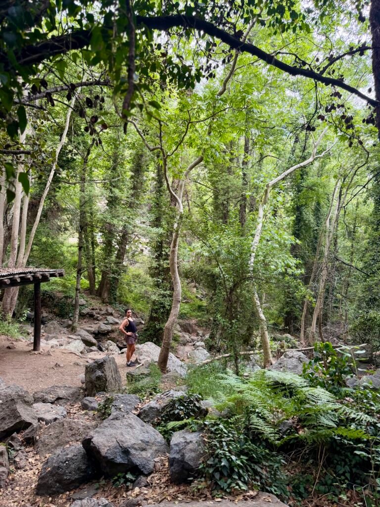 que ver en troodos
